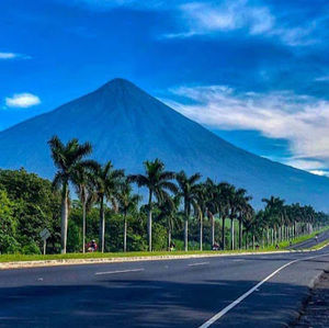 Meet your Posher, Grysseida